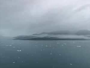 Icy Bay