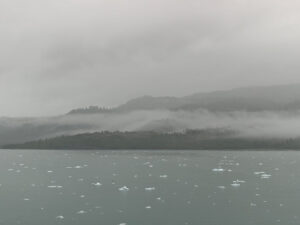 Icy Bay
