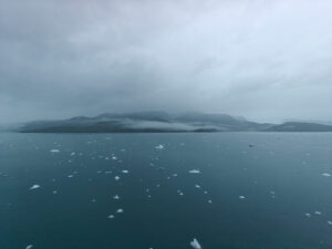 Icy Bay