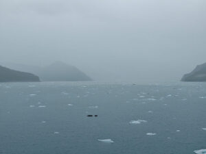 Icy Bay