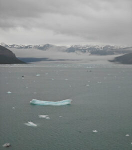 Icy Bay