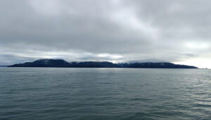 Prince William Sound