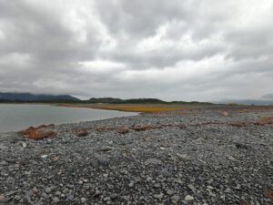 Heather Bay