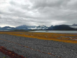 Heather Bay