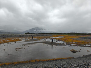 Heather Bay