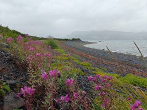 Heather Bay