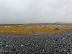 Heather Bay