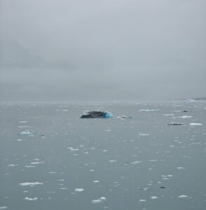 Columbia Glacier