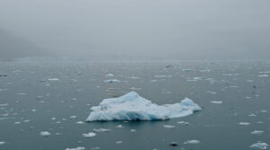 Columbia Glacier