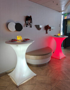 Digestif Bar vor der Recpetion