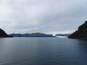 Bainbridge Glacier