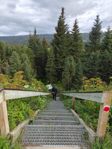 Beluga Wetlands Overlook
