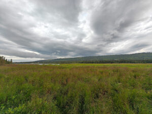 Beluga Wetlands Overlook