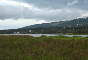 Beluga Wetlands Overlook