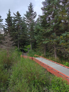 Beluga Wetlands Overlook