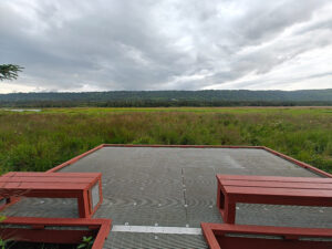 Beluga Wetlands Overlook