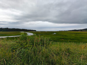Beluga Slough