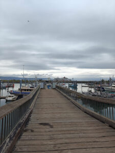 Hafen von Homer Spit
