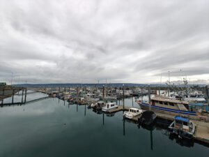 Hafen von Homer Spit