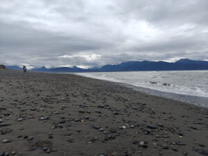 Strand am Homer Spit