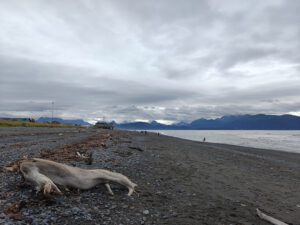 Strand am Homer Spit