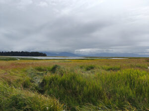 Beluga Slough Trail