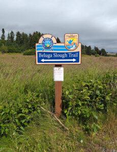 Beluga Slough Trail