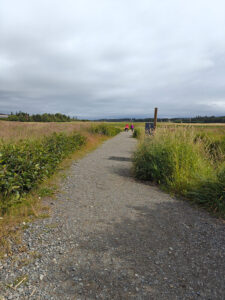 Beluga Slough Trail