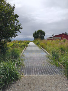 Beluga Slough Trail