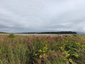 Beluga Slough Trail