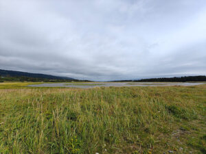 Beluga Slough Trail