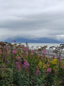 Beluga Slough Trail