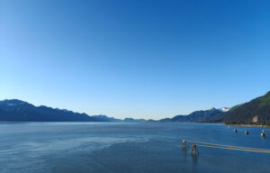 Guten Morgen aus Seward!
