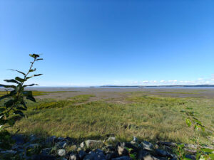 Cook Inlet