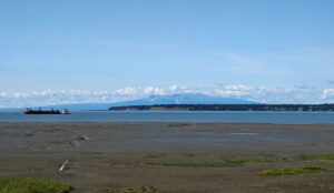 Cook Inlet