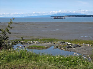 Cook Inlet