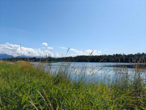 Westchester Lagoon
