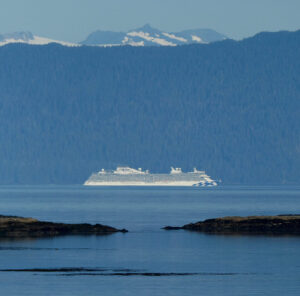 Discovery Princess