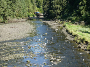 Gunnok Creek