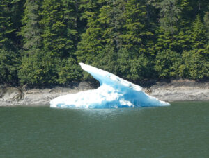 Fahrt durch den Tracy Arm