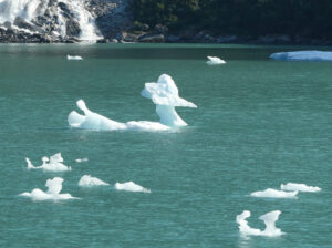 South Sawyer Glacier