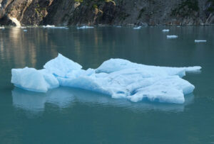 South Sawyer Glacier
