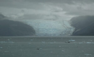 Tyndall Glacier