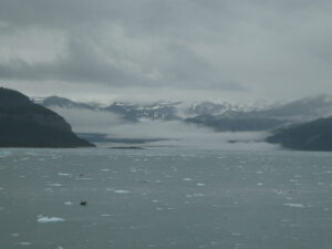 Icy Bay