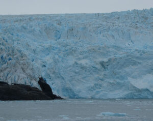 Tiger Glacier