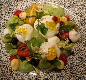 Buffalo Mozzarella