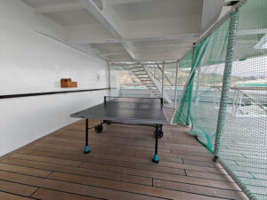 Tischtennisplatte Deck 8