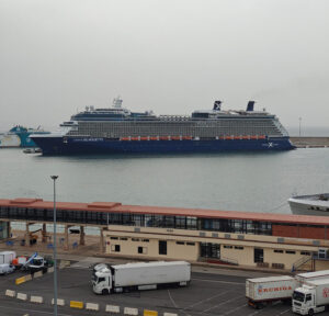 Celebrity Silhouette