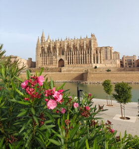 Kathedrale von Palma