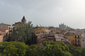 Blick über die Altstadt von Palma